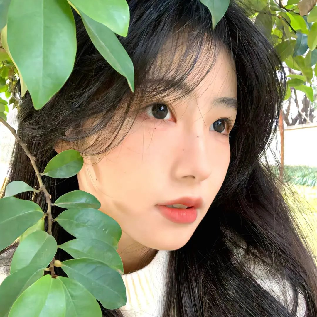 郝倪