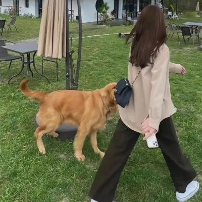 企鹅记忆幸福故事